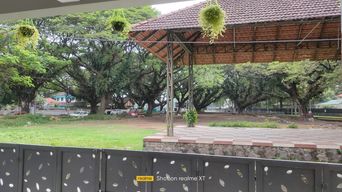 Looking out from under a tiled roof on a covered terrace across a wide grass lawn, with tall shady trees, a paved step and a grey perforated metal gate in front.