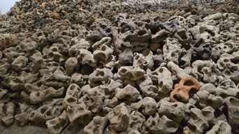 A heap of small hollow terracotta forms, pitted and pierced with holes, piled loose across a gallery floor.