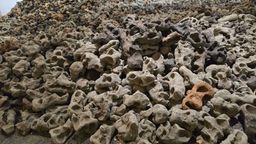Exhibition view of ‘15,000 Expressions of Fragility’ at Arthshila Kochi.