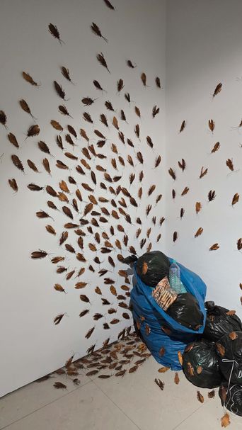 Exhibition view of ‘Re-Seen Cockroach’ at Arthshila Kochi.