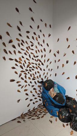 Exhibition view of ‘Re-Seen Cockroach’ at Arthshila Kochi.