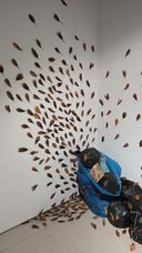 Exhibition view of ‘Re-Seen Cockroach’ at Arthshila Kochi.