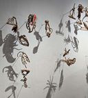 Exhibition view of ‘What absence carries’, Kochi-Muziris Biennale 2025–26, Mattancherry.