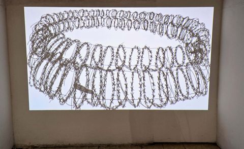 Exhibition view of ‘Fish’ at BMS Warehouse, Kochi-Muziris Biennale 2025–26.
