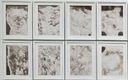 Exhibition view of ‘Gandhi’s Final Footsteps’ at Cube artSpace, Mattancherry.