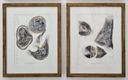 Exhibition view of ‘Gandhi’s Final Footsteps’ at Cube artSpace, Mattancherry.