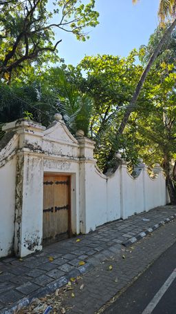 Whitewashed wall with an ornate wooden gate, trees overhead