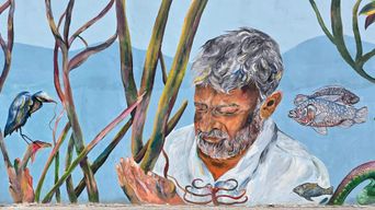 A section of the Guardians of Fort Kochi wall mural showing an old man’s face among painted mangrove roots, with a kingfisher and fish around him.