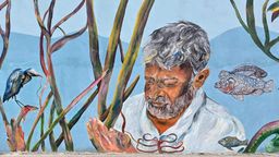 A section of the Guardians of Fort Kochi wall mural showing an old man’s face among painted mangrove roots, with a kingfisher and fish around him.