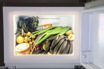 Open refrigerator lit from inside, packed with jackfruit, bananas, longan, pomegranate and long aloe vera leaves, part of a Biennale installation at Aspinwall House.