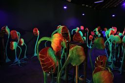 A dark gallery room at Aspinwall House filled with tall sculptural plant-like forms in glowing orange and green under UV light.