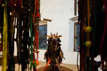 Exhibition view inside Anand Warehouse, Kochi-Muziris Biennale 2025–26.