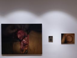 A dark close-up painting of raw flesh-like forms beside a small metal object and a framed close-up photo of stitched skin, on a gallery wall at SMS Hall.