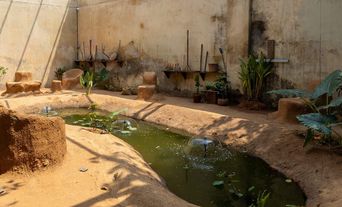 Exhibition view, Kochi-Muziris Biennale 2025–26, Mattancherry.