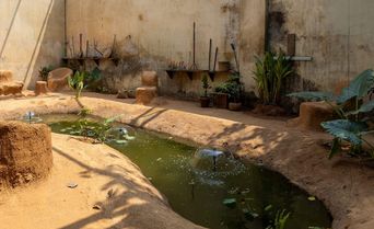 Exhibition view, Kochi-Muziris Biennale 2025–26, Mattancherry.