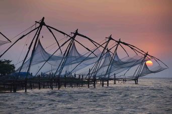 A row of Chinese fishing nets on the Fort Kochi shore silhouetted against a pink sunset, their cantilevered arms and nets raised over the water.