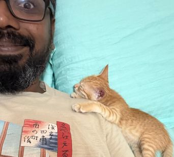 Alleppey, one of the Cats of Kochi.