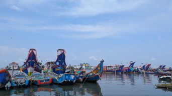 Fishing boats moored at a harbor with a city skyline in the background