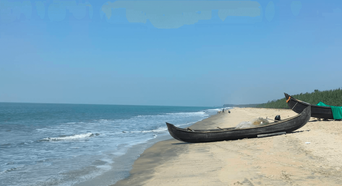 Wooden fishing canoes beached on a wide sandy shore backed by pine trees.