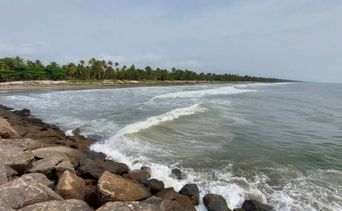 Rocky breakwater curving into a wave-lined coastline backed by coconut palms.