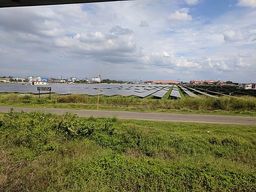 Solar panels at Cochin International Airport.