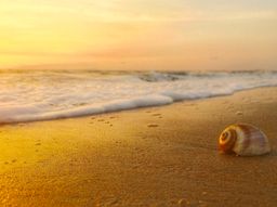 Vypin or Vypeen is one of the islands forming part of Kochi. The photograph shows Vypin beach.