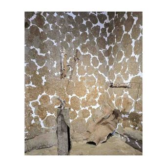 A gallery corner covered in overlapping pale discs of pressed fibre, with thin bone-like objects and slabs of the same material propped against the wall and floor.