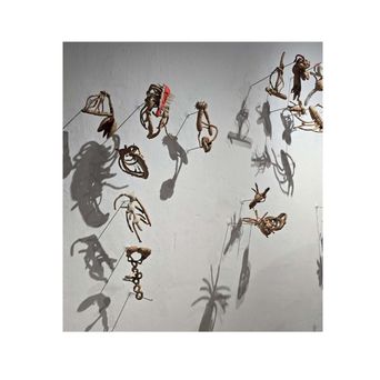 Small twisted sculptures of pale bone-like pieces strung on wires across a white wall, each throwing a long insect-like shadow.