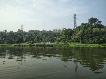 Backwater canal view of a small red-roofed house among palm trees, transmission tower behind.