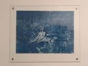 Exhibition view of ‘To Be Who?’ at Arthshila Kochi.