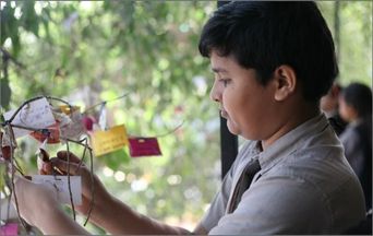A young man in a grey shirt clips a handwritten note onto a wire frame already hung with dozens of small coloured paper notes, under trees.