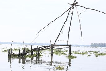 Chinese fishing nets in Kochi. Photograph taken on 14 November 2014. Imported at 1280px resolution because Wikimedia original was temporarily rate limited.