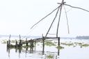 Chinese fishing nets in Kochi. Photograph taken on 14 November 2014. Imported at 1280px resolution because Wikimedia original was temporarily rate limited.