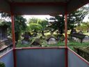 Dutch Cemetery in Fort Kochi, Kochi. Photograph taken on 10 September 2023.