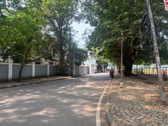 A quiet tree-lined road stretches into the distance under dappled sunlight, with a long grey wall on the left and a cobblestone sidewalk on the right where a person rides a motorcycle away from the camera. Tall trees with dense green foliage arch over the street, casting shifting shadows across the asphalt. A lamppost stands near the sidewalk, and a utility pole on the right carries a tangle of wires. A small sign is attached to the pole, and a fence runs along the far edge of the sidewalk.