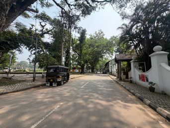A paved road stretches into the distance beneath a canopy of large trees, with dappled sunlight and shadows across the asphalt. On the left, a black auto-rickshaw is parked beside a curb made of interlocking stones, with utility poles and more trees behind it. On the right, a white boundary wall with rounded pillars runs alongside the road, topped by a small gate structure with a tiled roof. Potted plants sit near the wall, and a few distant vehicles are visible further down the road.