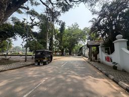 A paved road stretches into the distance beneath a canopy of large trees, with dappled sunlight and shadows across the asphalt. On the left, a black auto-rickshaw is parked beside a curb made of interlocking stones, with utility poles and more trees behind it. On the right, a white boundary wall with rounded pillars runs alongside the road, topped by a small gate structure with a tiled roof. Potted plants sit near the wall, and a few distant vehicles are visible further down the road.