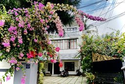 Two-storey white house with a tiled forecourt, its front wall and gateway covered in pink and magenta bougainvillea flowers.