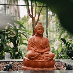 Terracotta statue of a seated Buddha on a lotus base, set on dark pebbles in a glasshouse full of green plants.