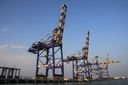 Picture of crane at the Vallarpadam Terminal