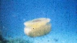 A grainy film still: a pale yellow shape drifting in deep blue water, like a jellyfish seen through scratched footage.