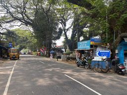 A paved road stretches through a tree-lined area with large trees forming a canopy overhead. On the left side of the road, a yellow auto-rickshaw is parked near the edge. Further down, two people walk along the roadside, one holding an umbrella. On the right side, several small roadside stalls and shops are set up under the trees, with various goods displayed. A blue cart with wheels is parked near one of the stalls, and a scooter is parked beside it. A blue directional sign with white text and an arrow stands near the carts. Overhead, numerous electrical wires crisscross above the road. The road surface has white lane markings, and shadows from the trees fall across the pavement.