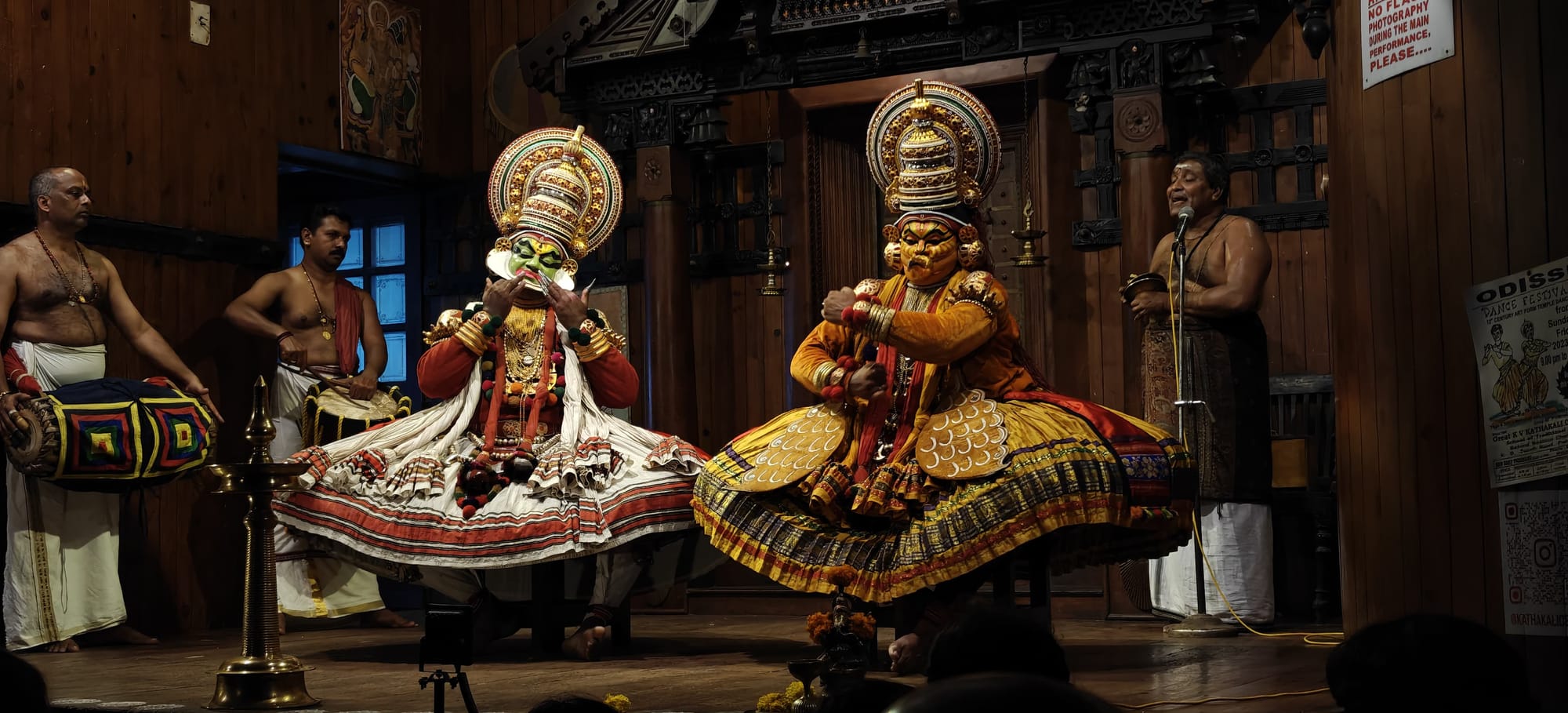 Lady Whiskersdown mesmerized by Kathakali