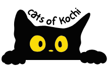 cats of kochi icon