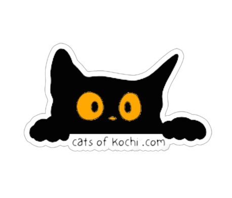 cats of kochi