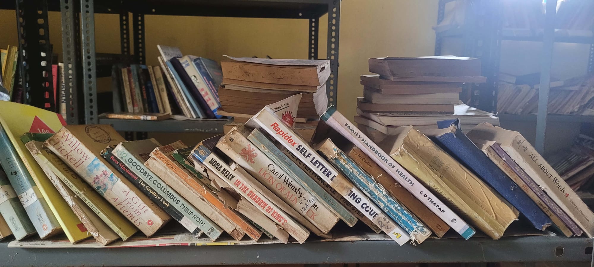 Library Hunt in Fort Kochi: Discover the Best Reading Hotspots and Book Havens