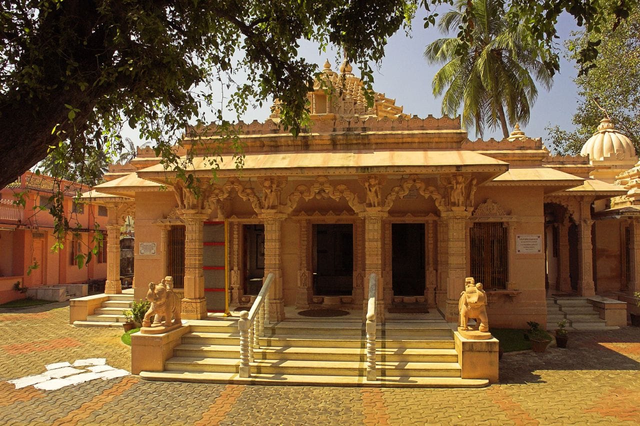 Experience Pigeon Feeding at Fort Kochi’s Jain Temple: A Fun Mid-Day Activity