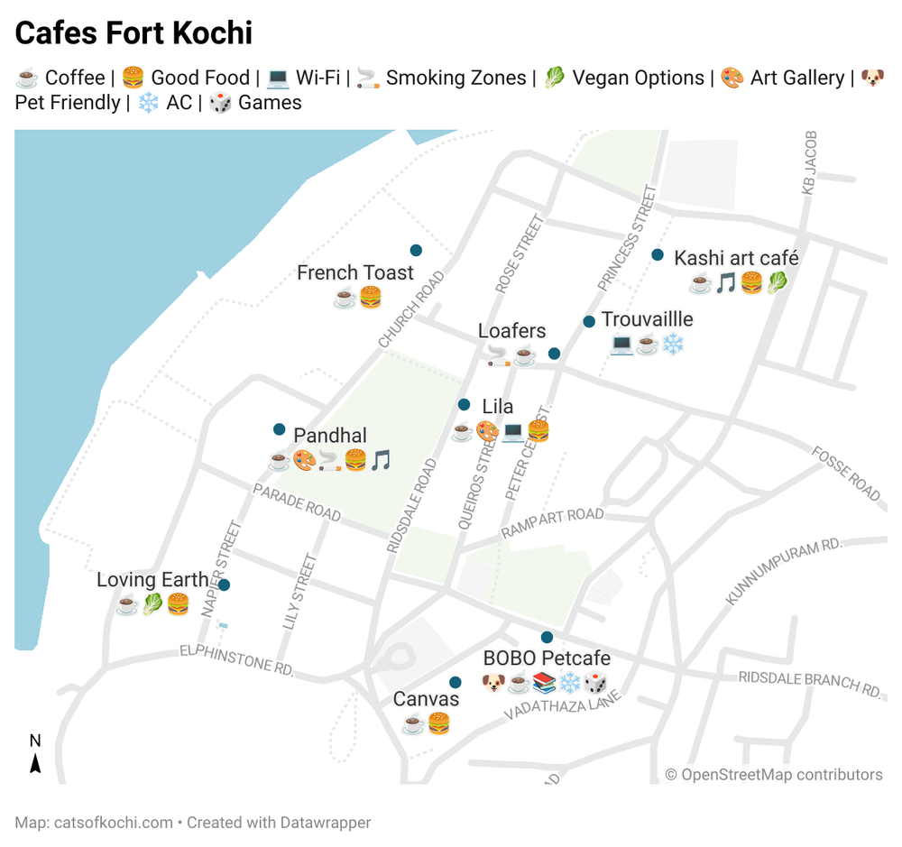 Local Cat's Guide to Fort Kochi's Cafés post image