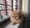 Mia: The Princess of Fort Kochi
