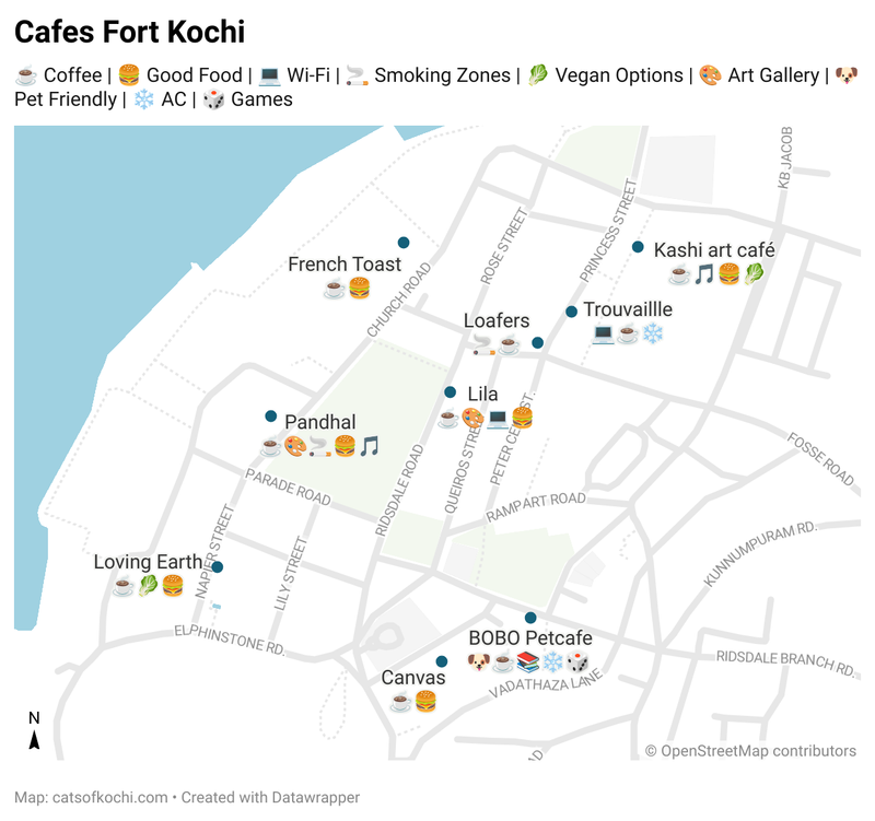 Local Cat's Guide to Fort Kochi's Cafés post image